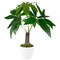 Northlight Artificial Money Tree Plant in Textured Lined Pot - 18.5"